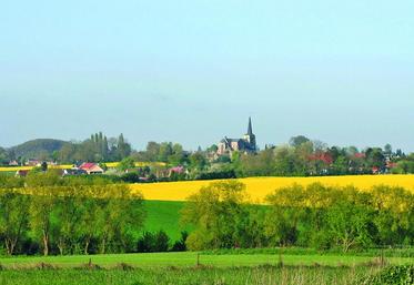 Pour bénéficier des aides en 2015, vous devez remplir une clause si votre exploitation a subi une modification depuis le 16 mai 2013.
