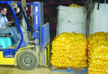 La vocation exportatrice de la France est indiscutable.