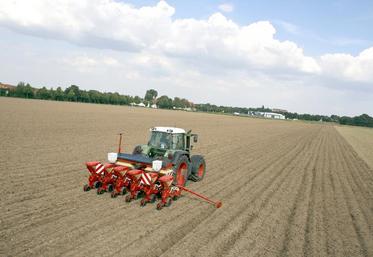 L’utilisation d’engrais starter augmente la capacité de la plante à capter le phosphore du sol et accélère légèrement 
sa croissance.
