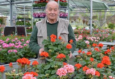 Les géraniums de Pierre Triboulet, gérant de Gosset Fleurs, à Amiens, ont du succès, mais il faudra du temps pour 
remonter la pente après plusieurs semaines de fermeture.