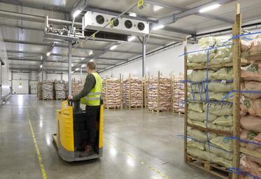 Le port de Dunkerque reste leader de l’importation de fruits en conteneurs, comme la banane. Le trafic de céréales progresse par ailleurs de 11 % (1,4 Mt) sur l’année écoulée.