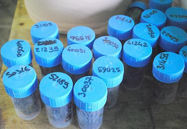 Les crottes de plus de 80 brebis, toujours les mêmes, sont analysées tout au long de l’année..