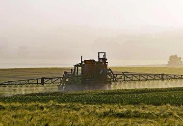 Dans son rapport, la Cour des comptes pointe d’abord du doigt des manquements techniques, mais aussi sur l’utilisation des fonds consacrés au plan Écophyto.