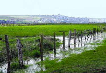 L'enjeu est de concilier la productivité et le respect de la biodiversité.
