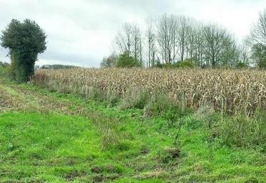 Les retournements de prairie ont répondu à un besoin de souplesse à tous les systèmes agricoles.