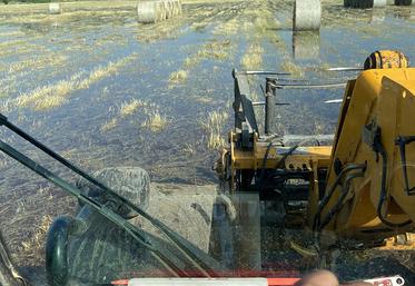 Assuré ou non, dès 2023, les agriculteurs bénéficieront d’une protection  universelle face aux risques climatiques. Les assurés restent tout de même mieux couverts. 