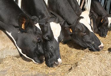 L’efficacité d’un aliment n’est pas identique d’un animal à l’autre,  et d’une ration à l’autre.