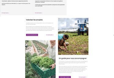 La FNSEA a créé un outil de diagnostic sur un site internet dédié : convention-agricole.fr. 