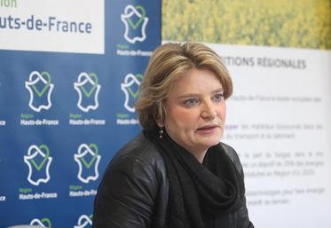 «Les mesures décidées par la Région doivent assurément aider la mutation de l’agriculture», a souligné Marie-Sophie Lesne, plutôt critique à l’égard de la politique agricole du gouvernement d’Édouard Philippe.