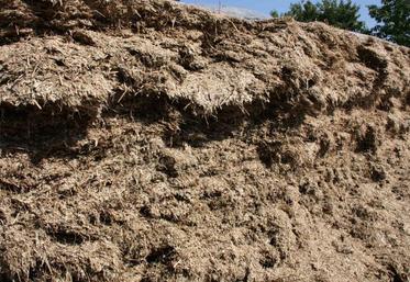 La gamme de valeur énergétique des céréales varie de 0,6 UFL par kg de MS pour un blé au stade laiteux-pâteux à 0,85 UFL par kg de MS pour un blé immature récolté à 50 % de MS.