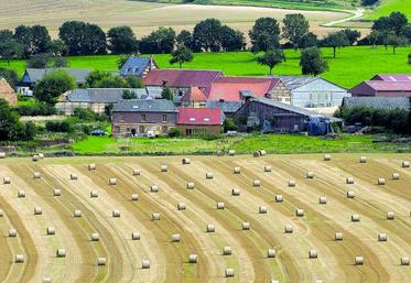 Les Safer pourront préempter, en cas de vente démembrée, l'usufruit ou la nue-propriété d'un bien.