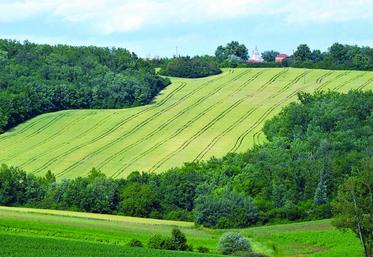 La volatilité des prix agricoles et les obligations environnementales de plus en plus prégnantes viennent plus que jamais renforcer la nécessité d’avoir une assise foncière la plus durable possible.