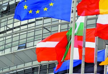 Pour le conseiller aux affaires agricoles, Nico van Opstal, la simplification du verdissement et la prochaine Pac font  partie des cinq grandes orientations que souhaite donner  la présidence.