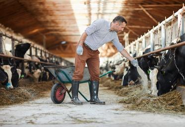 prix du lait en Europe 