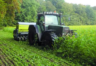 Les Heurtaut sont passés en TCS et semis direct en 2003.