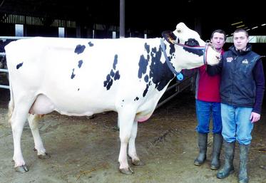 Alain Popot et son fils Marc vont représenter la Somme avec Fanfare dans le très relevé concours Prim'Holstein de Paris.