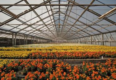 Cette aide était très attendue par les producteurs, dont les pertes subies lors du premier confinement ont été conséquentes», s’est réjoui le président de Val’hor Mickaël Mercier.