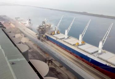 Sur la campagne 2018-2019, Nord Céréales a exporté 1,3 million de tonnes de blé, 41 058 tonnes de pulpes ou encore 274 135 tonnes d’orges.