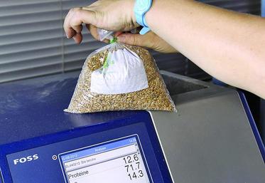 L'augmentation du taux de protéine des blés est devenu une préoccupation prioritaire chez Noriap.