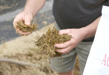 L’analyse des résultats permet de tirer quelques enseignements et surtout de confirmer certaines préconisations techniques.