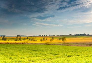 En France, La FNSafer propose des mesures à intégrer dans la future loi foncière pour protéger le foncier agricole.