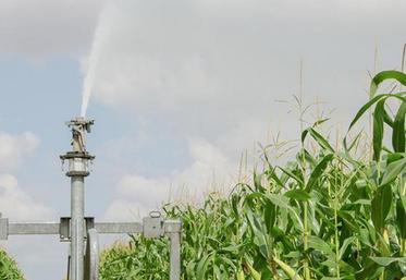 Non, l’irrigation n’augmente pas le risque de lessivage du nitrate.