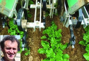 L’objectif de réduction de 30% de l'IFT par rapport aux références régionales a été atteint en herbicides (-38% en 2012). En médaillon : Yves Chéron : "j'ai réduit fortement les quantités de fongicides et d'insecticides".