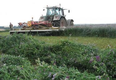 La filière a réussi à compenser la baisse des aides Pac à l’hectare et a redonné du revenu aux producteurs.