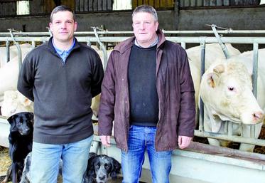 Hervé et Xavier Delavenne ont montré un élevage de qualité valorisant 17 ha de prairies difficiles.