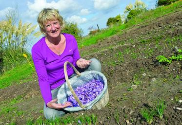 Dans le panier d’Anne se trouve la récolte du jour, soit 1 700 fleurs cueillies à la main.