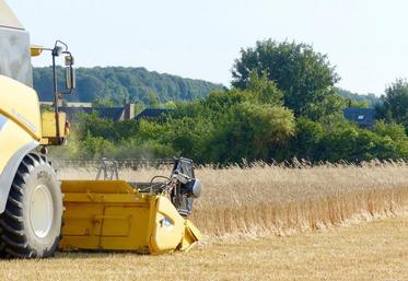 Toutes les productions végétales ont diminué en volume : les céréales, avec 62,5 Mt en 2018, étaient en  baisse de 8,8 % par rapport à 2017.