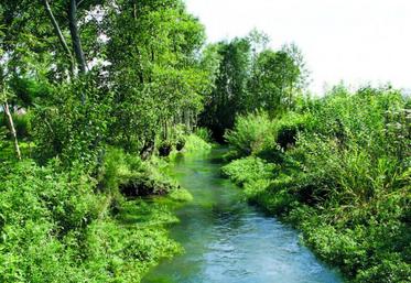 Le schéma d’aménagement et de gestion de l’eau (Sdage) encadre toute la politique de l’eau dans le bassin Artois Picardie.