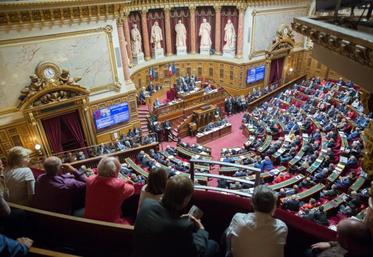 Pour les trois sénateurs samariens élus ce dimanche, il s'agit d'une première.