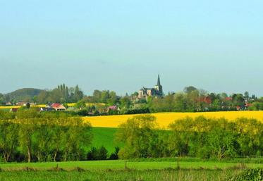 En 1990, 20 % des exploitations françaises cultivaient 60 % des hectares agricoles et, en 2010, vingt ans plus tard, 63 %.