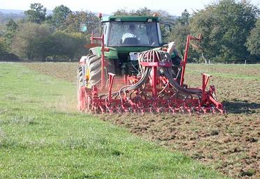 Ressemis de prairie avec destruction mécanique du couvert.