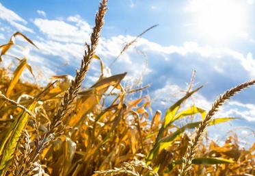 Depuis juin 2019, la température a dépassé la norme de saison de 1,72°C en moyenne.