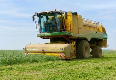 La campagne 2020 a été difficile pour les producteurs qui appellent les autres acteurs de la filière à les soutenir.