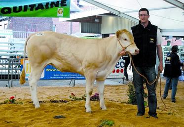 Benoît Lavaquerie a remporté la première place d'une section de femelles de 1 à 2 ans.