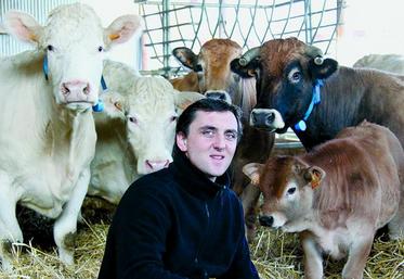 Selon Virgil Mennesson, la race Aubrac est bien adaptée aux standards des abattoirs qui recherchent des poids de carcasse «réduits», mais aussi à la vente au détail.