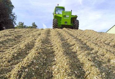 Plus le feuillage est sec plus il faudra hacher court.