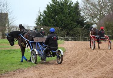 Favorisant l’insertion professionnelle dès l’entrée en formation grâce à l’apprentissage, la filière courses offre une formation complète et spécifique.