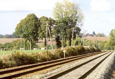 39 heurts de 2017 ont impacté 189 trains au total et causé 56 heures de retard cumulé.