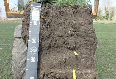 Le suivi de la vie biologique des sols se réalise par une analyse physico-chimique des sols, une analyse de la terre, des comptages et identification des vers de terre, le calcul de la teneur et de la biomasse microbienne, l’activité enzymatique, le suivi de la décomposition des pailles et l’état structural des sols.