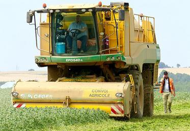 Avec une superficie de 50 ha, dont 20 ha couverts, l’usine d’Estrées-Mons est l’un des plus gros sites Bonduelle, située dans un énorme bassin de production (18 000 ha et 1 200 agriculteurs).