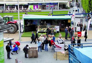 Une vue de l'animation lors de sa première édition l'année dernière.