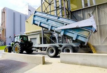 Bien qu’elle soit particulièrement altérée par les problèmes qualitatifs, la récolte de blé nationale s’inscrit en volume dans les plus hautes de l’histoire.