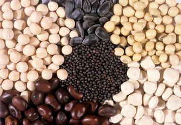 Avec une population en hausse et des espaces agricoles qui s’amenuisent, un des enjeux majeurs pour nourrir la planète réside dans la production de protéines. Toutes les filières agricoles sont concernées.