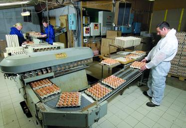 A la baisse de production consécutive à la mise aux normes bien être des poules pondeuses, a succédé rapidement une surproduction d'oeuf.