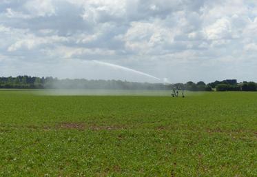 Les producteurs éprouvent «la crainte que les cinq pays n'atteignent pas le rendement moyen».