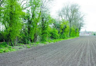 Toutes les haies présentes au 1er janvier 2015 sont considérées comme des particularités topographiques.